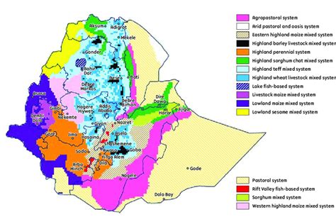 Quantifying Crop Yield: A Journey into Ethiopia's Agricultural Heartbeat – Exploring the Rhythms of Nature and Numbers