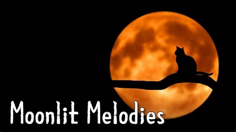  Melancholic Moonlit Melodies: A Poetic Exploration of Identity and Belonging in Teenage Japan